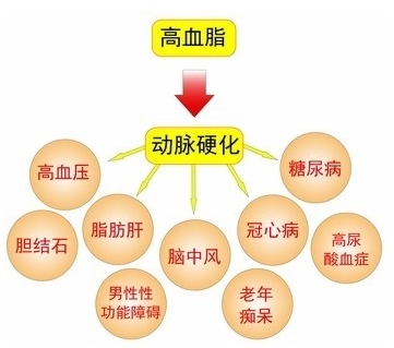 人口死亡比例_美国CDC公布美国人口死因报告 药物滥用致死升势明显(3)